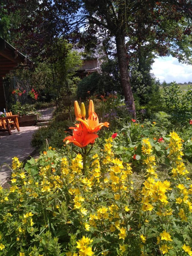 Au Paradou Du Bucheron Adults Only Lessive Buitenkant foto