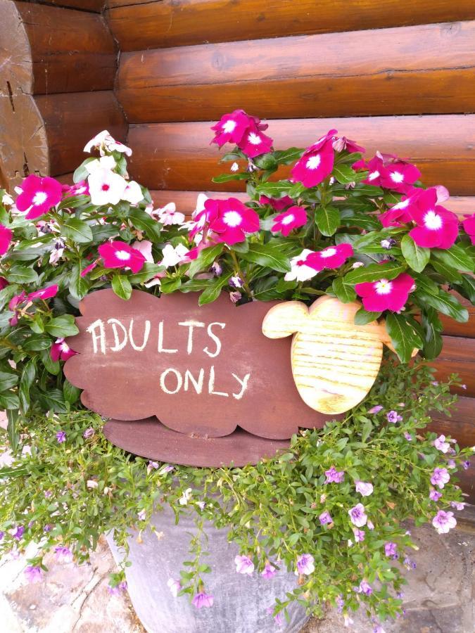 Au Paradou Du Bucheron Adults Only Lessive Buitenkant foto